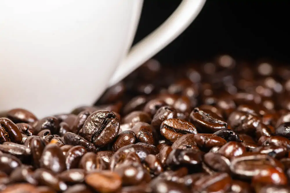 Are oily coffee beans better?