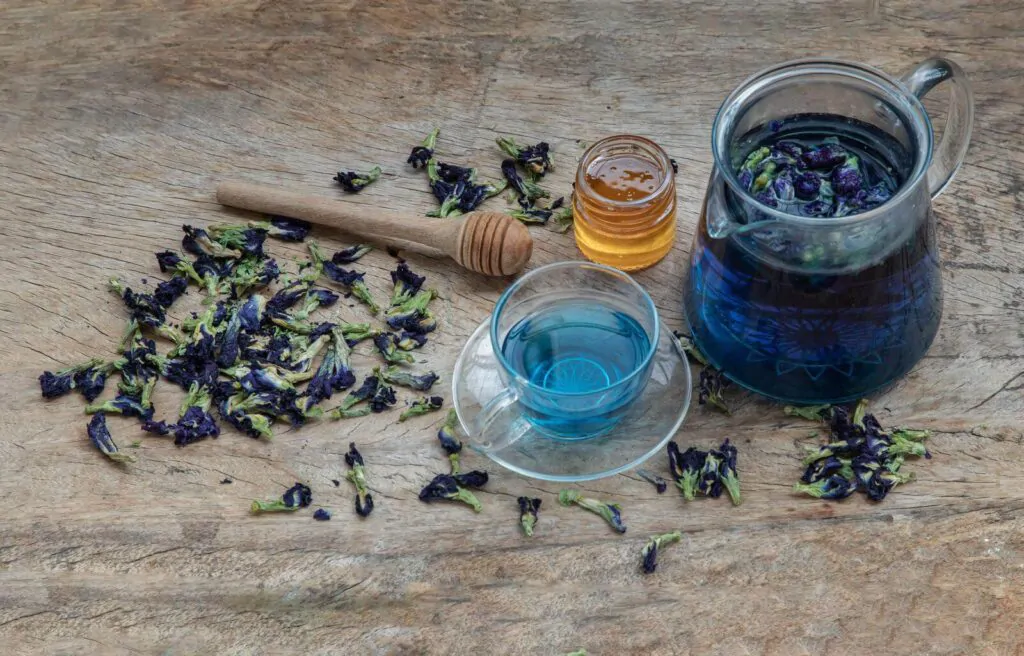 Butterfly pea tea (Clitoria) or Organic blue anchan in Teapot served with honey
