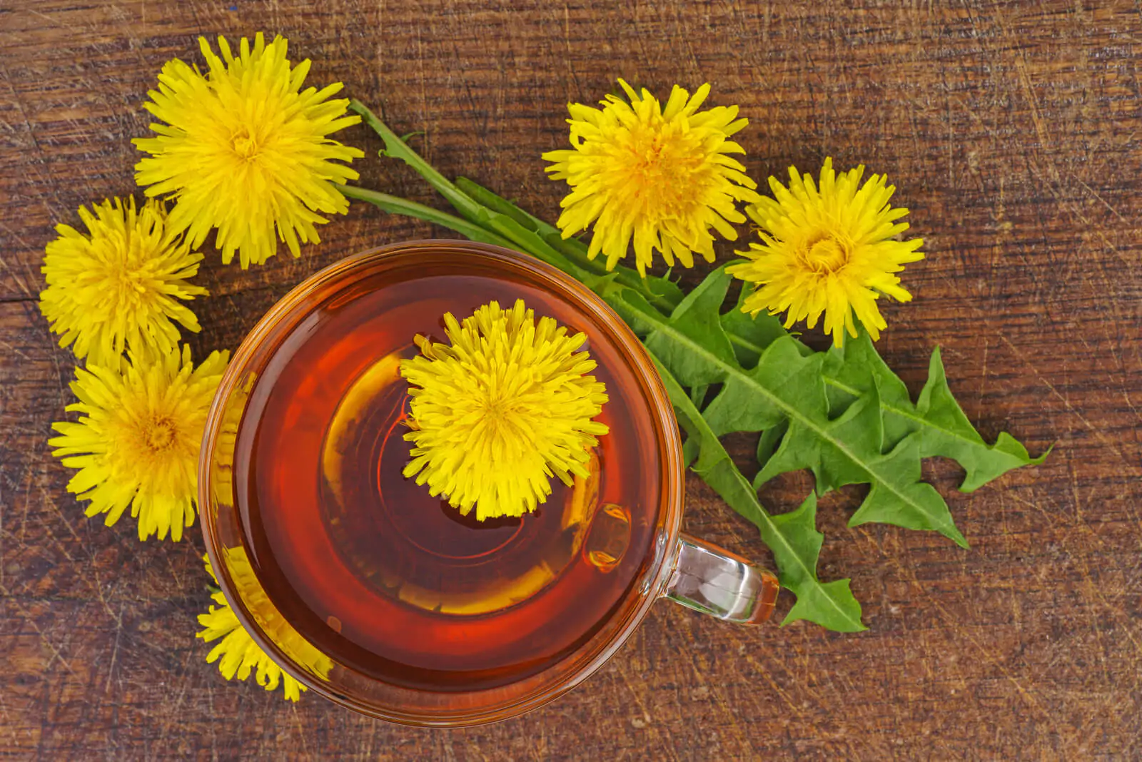 Is Dandelion Tea Good For You? 10 Terrific Health Benefits