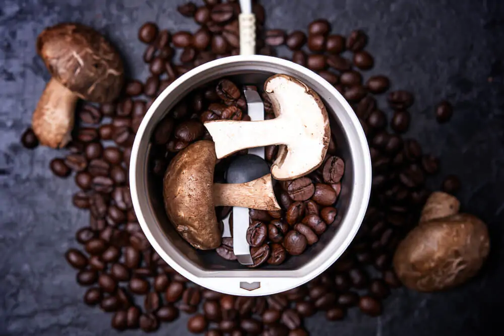 sliced mushroom in a coffee grinder with coffee beans - why mushroom coffee