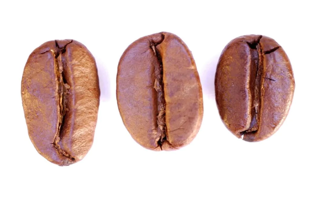 Different coffee beans
