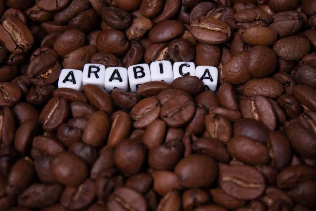 Close-up of Freshly roasted coffee beans near the word ARABICA