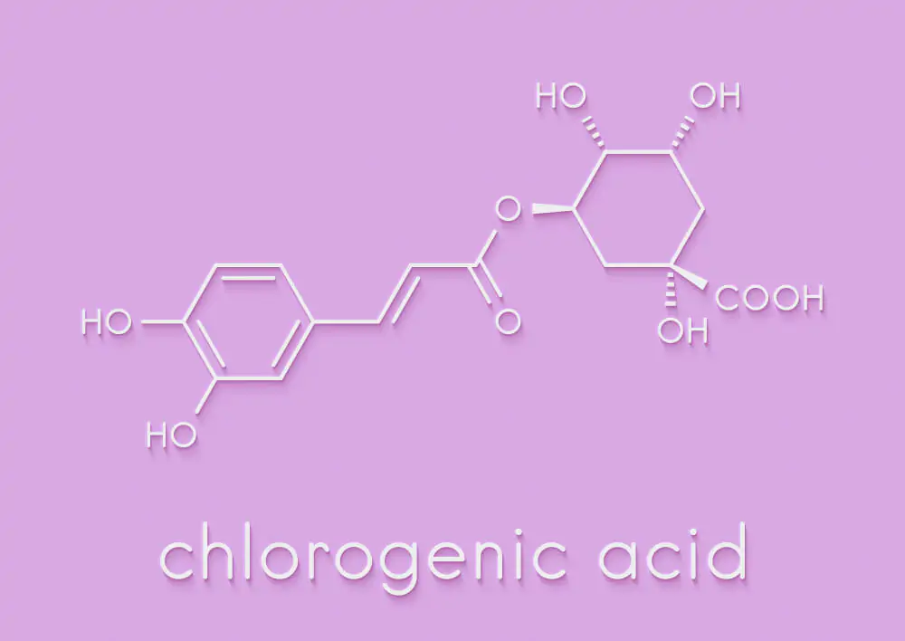 Chlorogenic acid elements