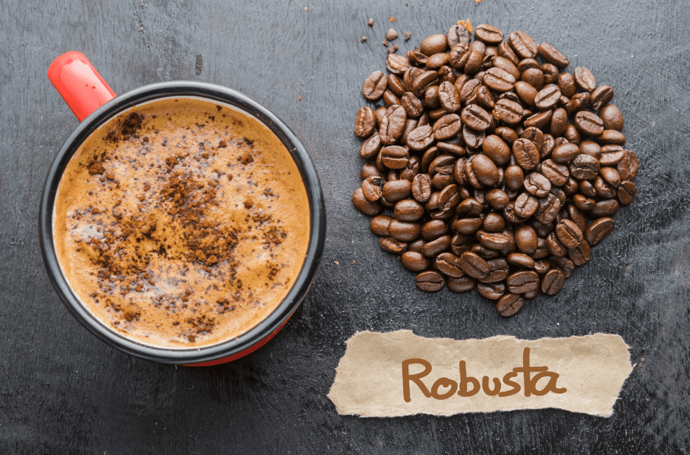 Best robusta coffee brands
