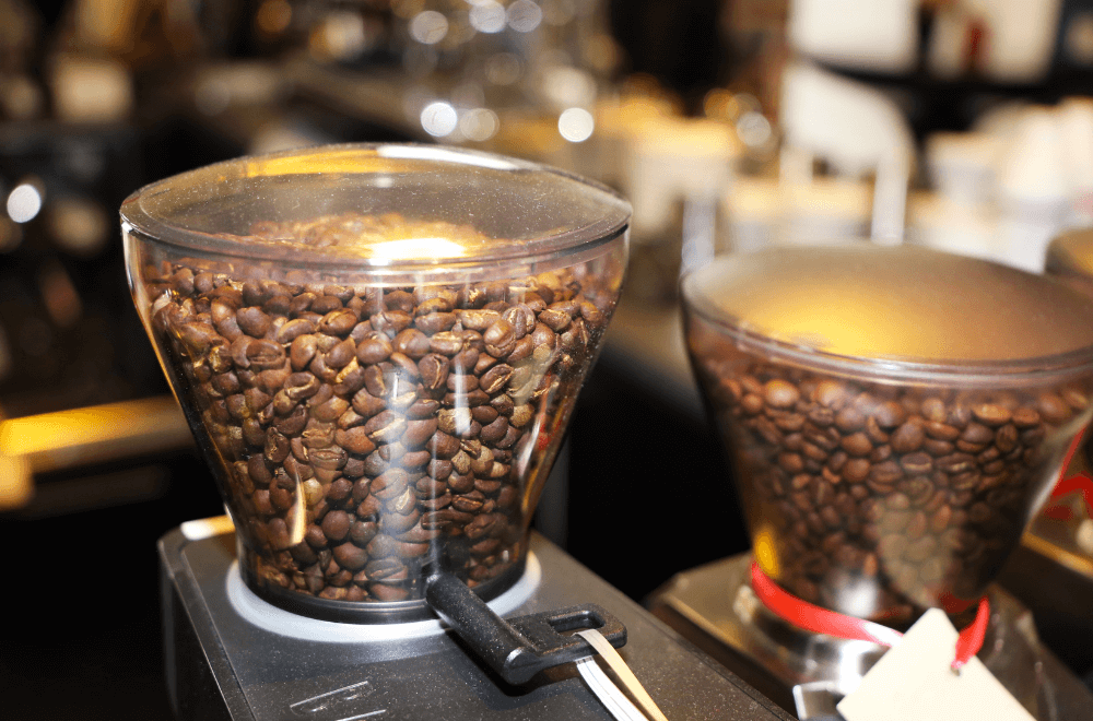 Big coffee beans in burr coffee grinder