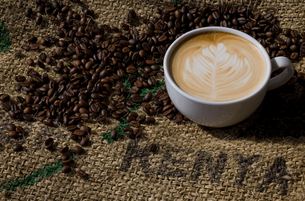 Best african countries for coffee