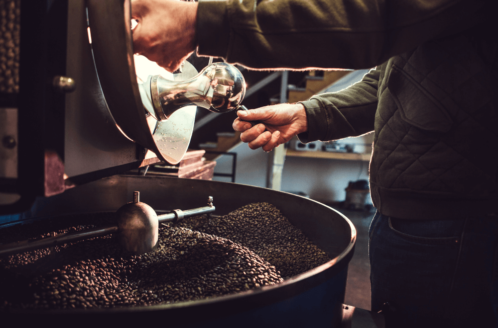 Confident coffee roaster man is checking the preparation process