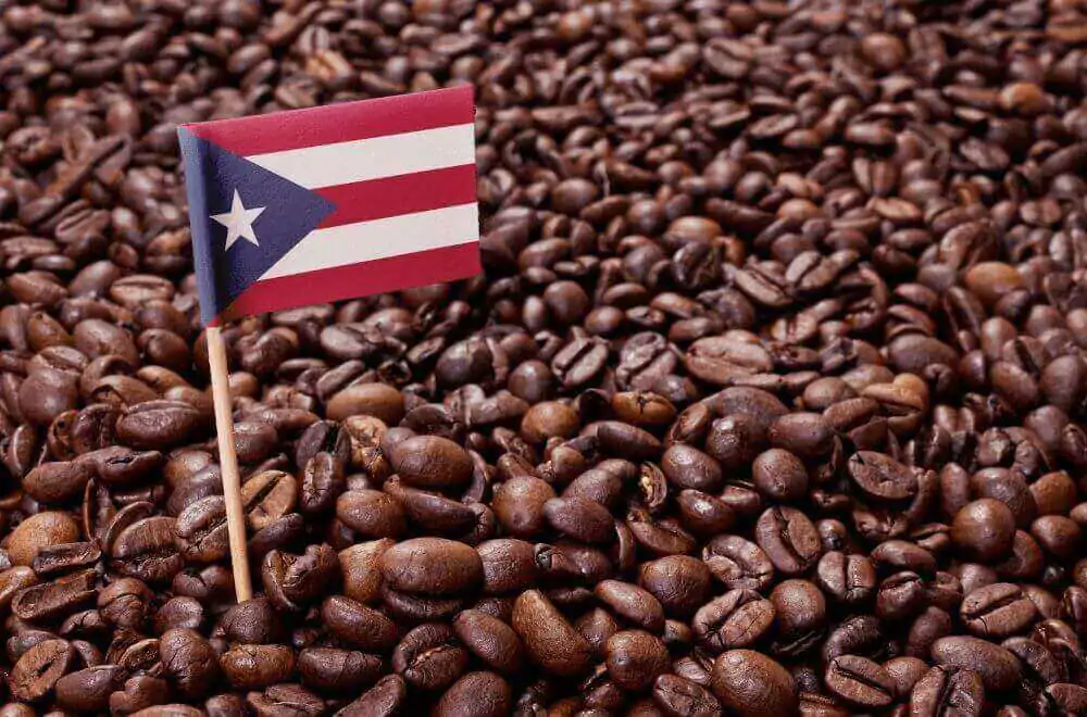best Puerto Rican coffee brands