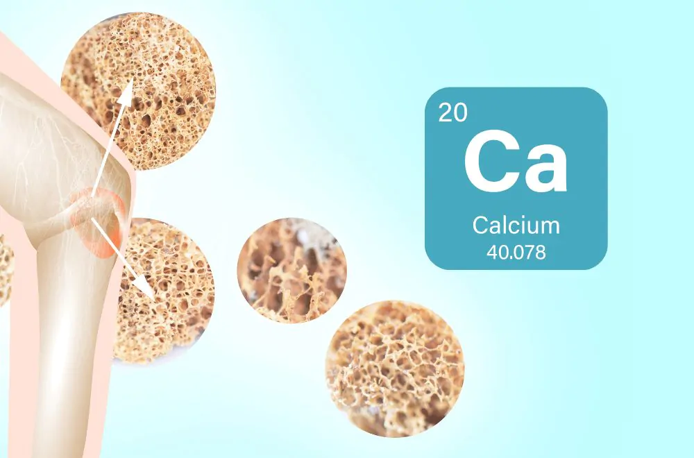 bones need calcium