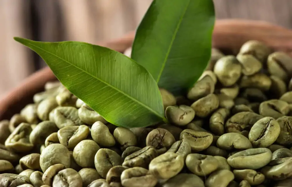 Why Green Coffee