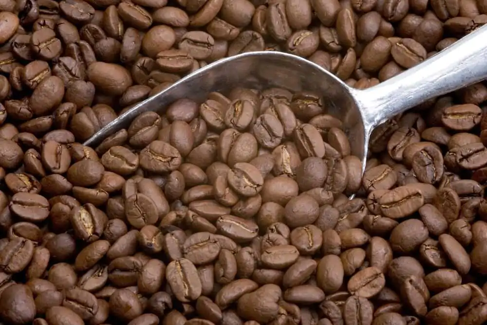 Light roasted coffee beans