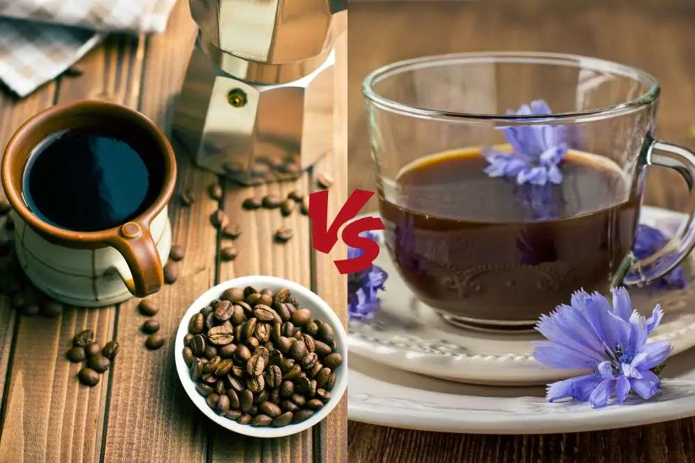 coffee vs. chicory