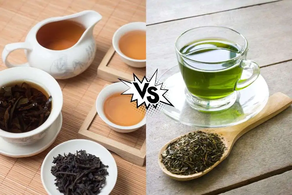 oolong tea vs green tea