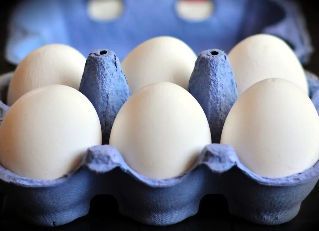 Eggs on a blue tray