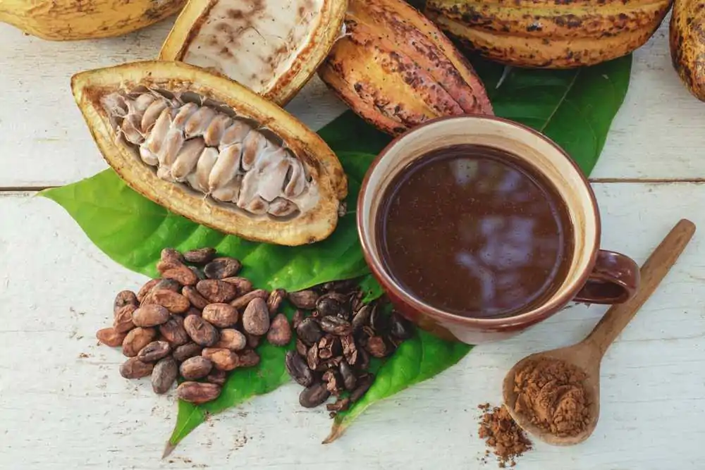 How to roast cacao beans