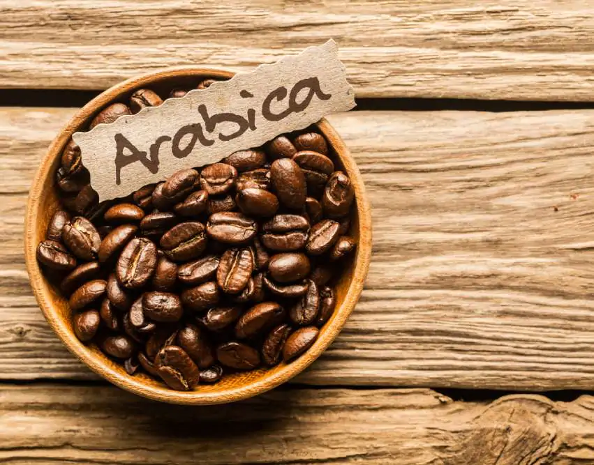 Arabica coffee brands
